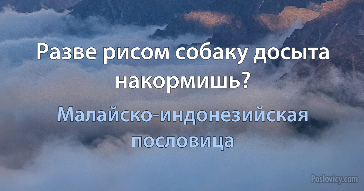 Разве рисом собаку досыта накормишь? (Малайско-индонезийская пословица)