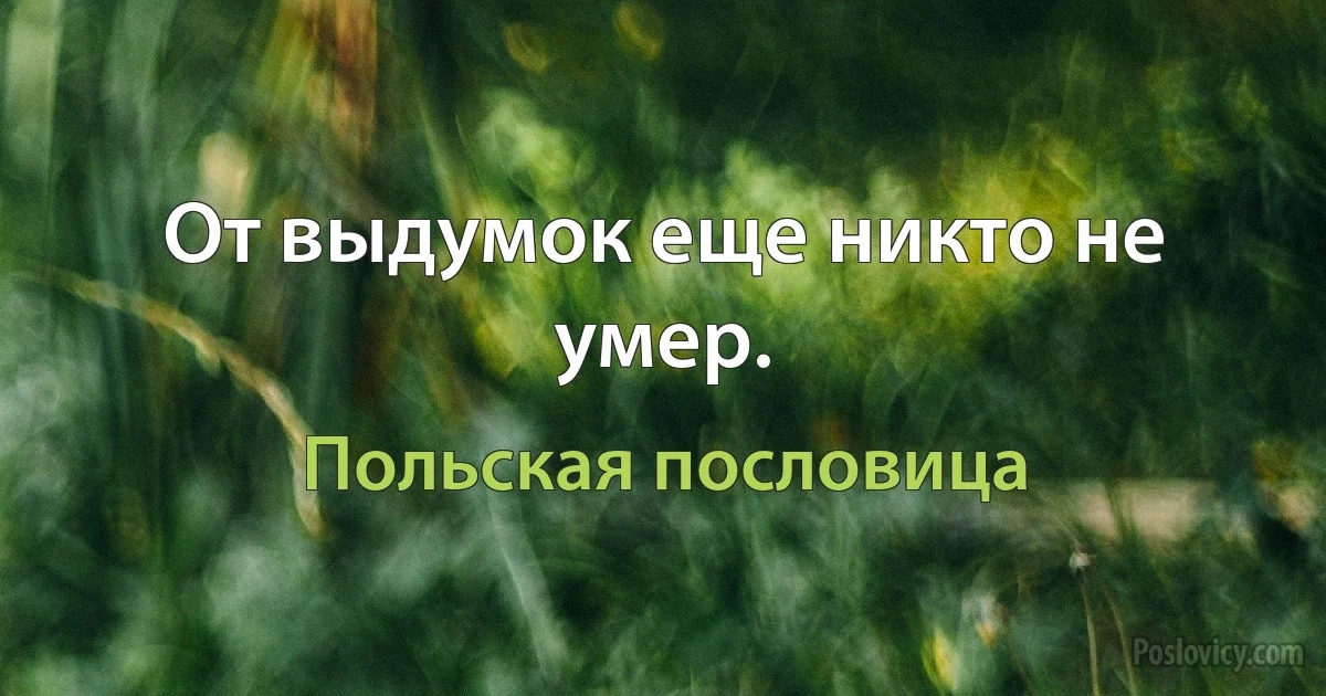 От выдумок еще никто не умер. (Польская пословица)