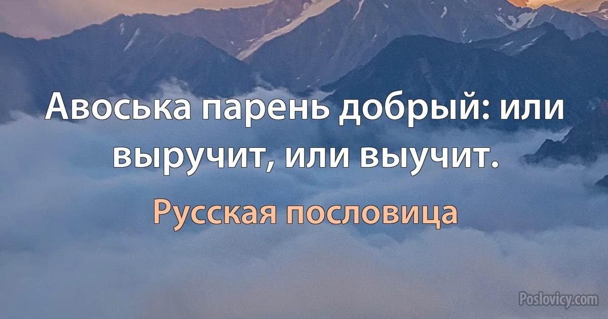 Авоська парень добрый: или выручит, или выучит. (Русская пословица)