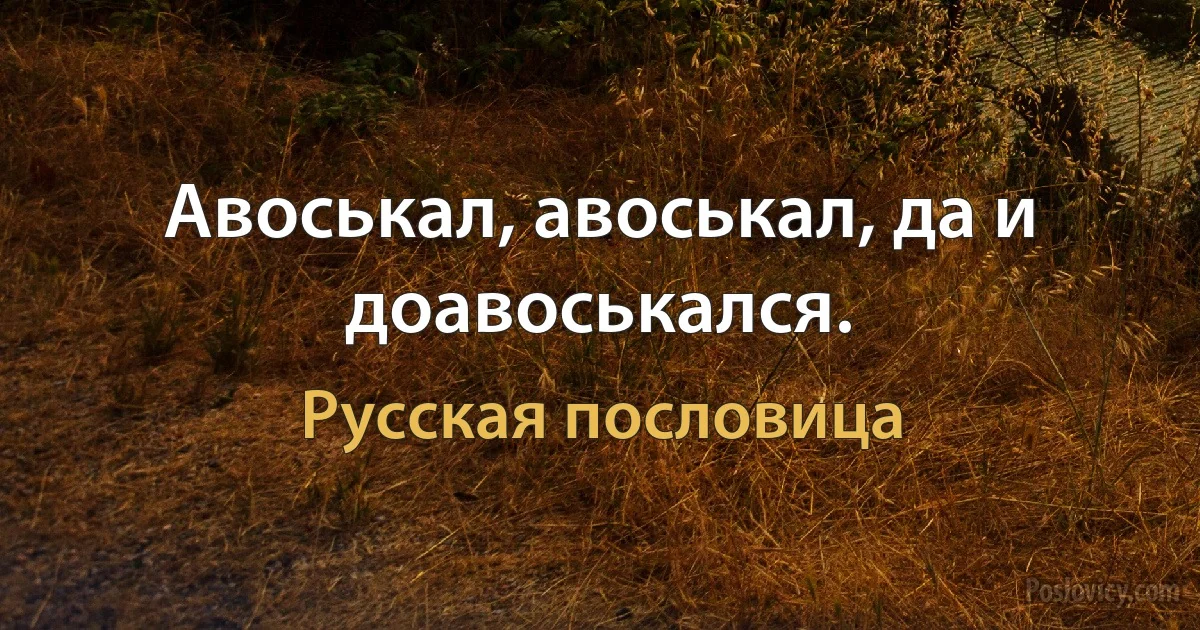 Авоськал, авоськал, да и доавоськался. (Русская пословица)