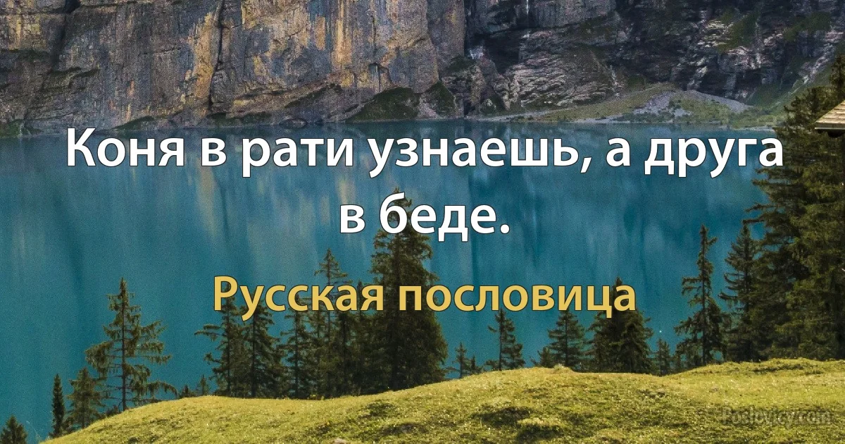 Коня в рати узнаешь, а друга в беде. (Русская пословица)