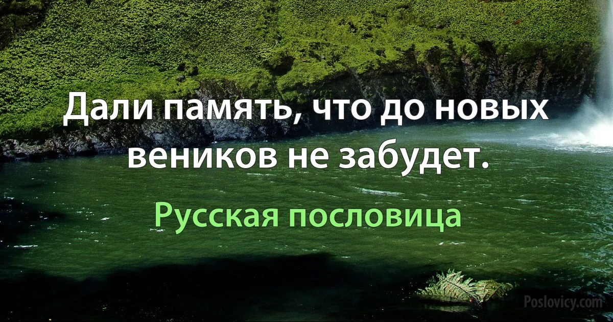 Дали память, что до новых веников не забудет. (Русская пословица)