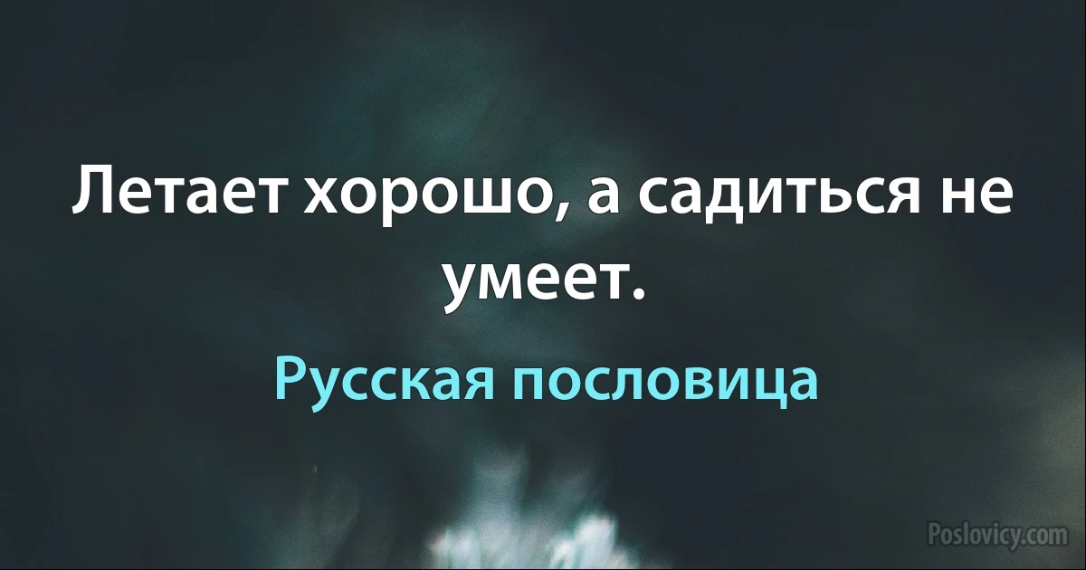 Летает хорошо, а садиться не умеет. (Русская пословица)