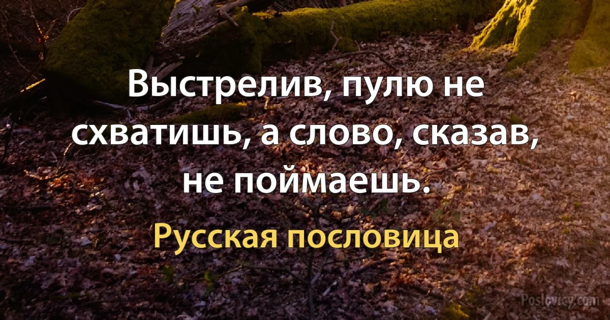 Выстрелив, пулю не схватишь, а слово, сказав, не поймаешь. (Русская пословица)