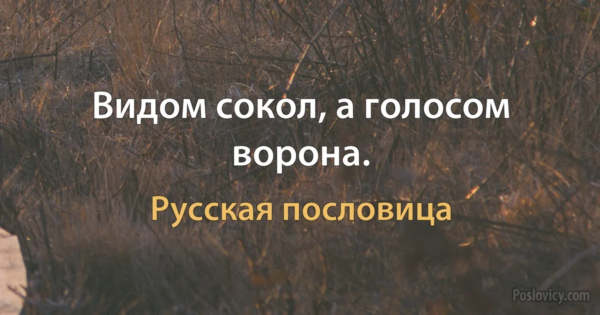 Видом сокол, а голосом ворона. (Русская пословица)