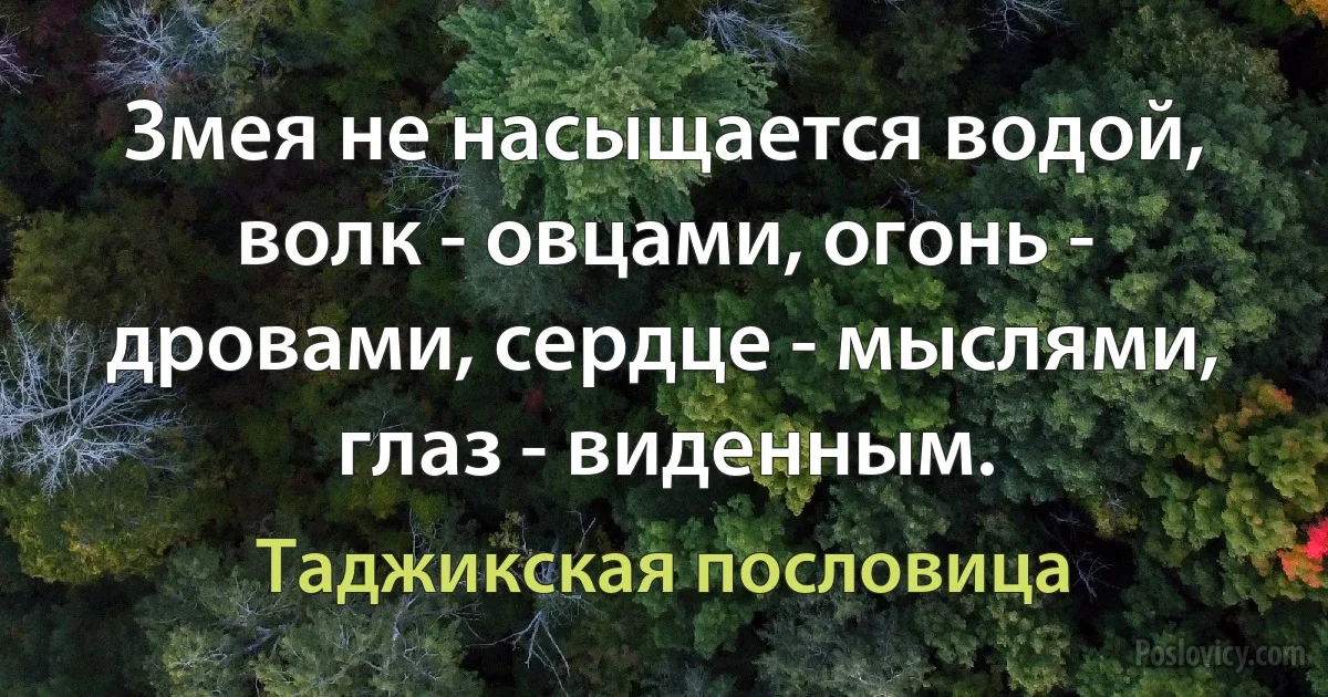 Змея не насыщается водой, волк - овцами, огонь - дровами, сердце - мыслями, глаз - виденным. (Таджикская пословица)