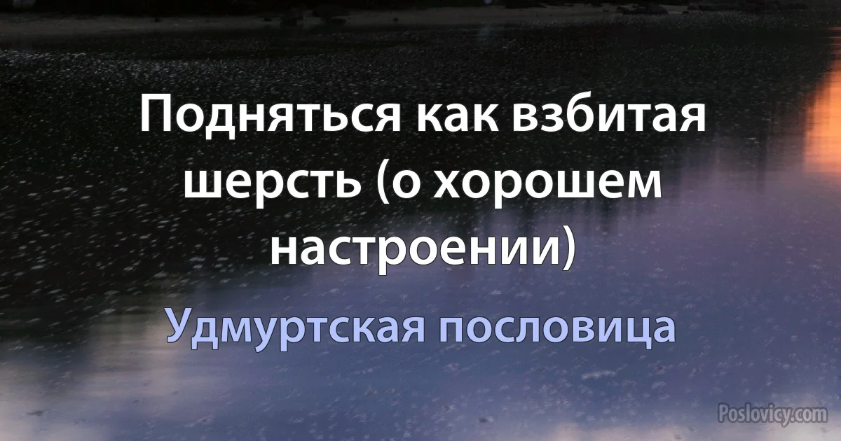 Подняться как взбитая шерсть (о хорошем настроении) (Удмуртская пословица)