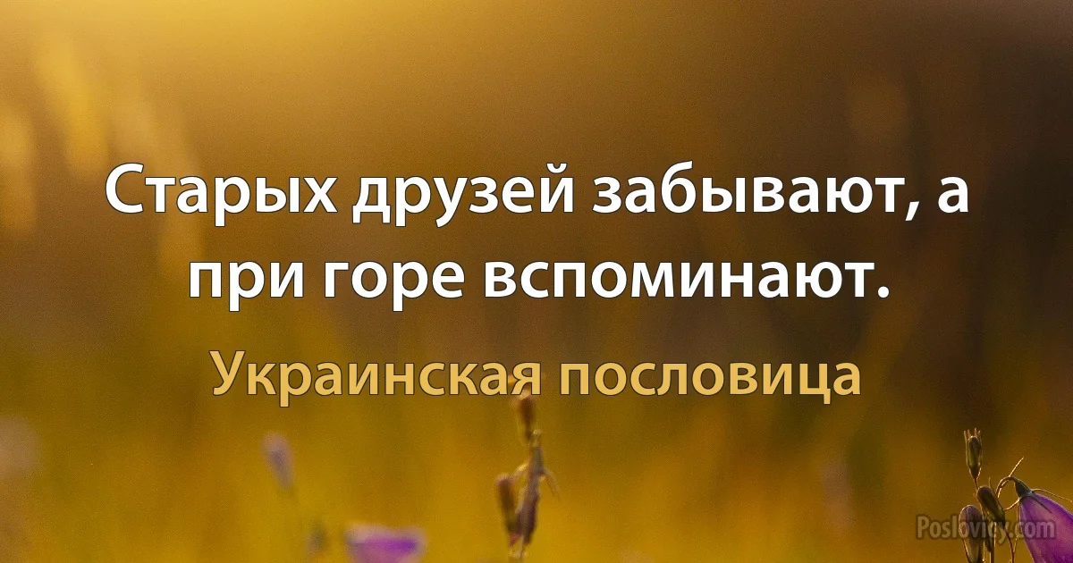 Старых друзей забывают, а при горе вспоминают. (Украинская пословица)