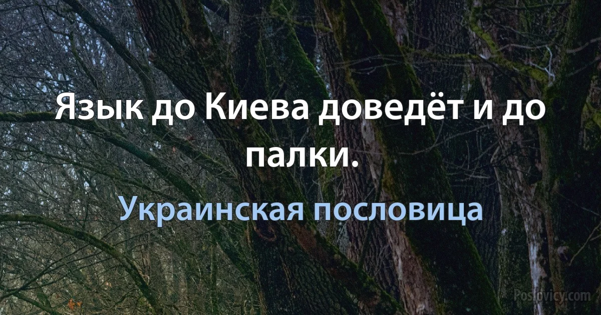 Язык до Киева доведёт и до палки. (Украинская пословица)