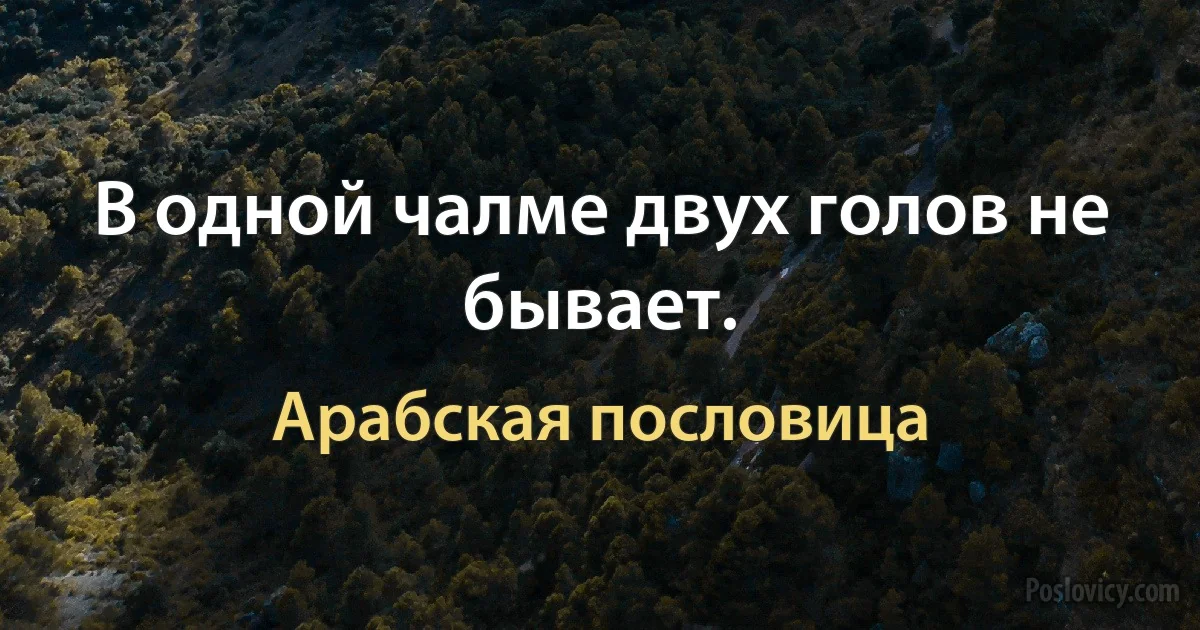 В одной чалме двух голов не бывает. (Арабская пословица)