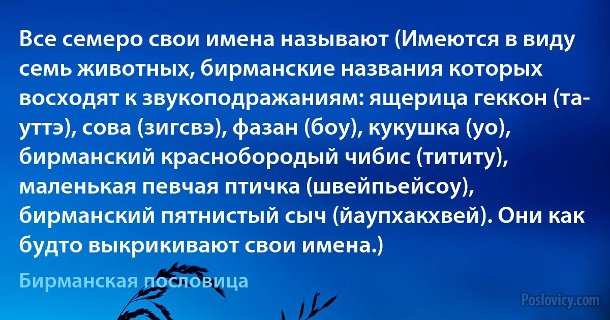 Все семеро свои имена называют (Имеются в виду семь животных, бирманские названия которых восходят к звукоподражаниям: ящерица геккон (та- уттэ), сова (зигсвэ), фазан (боу), кукушка (уо), бирманский краснобородый чибис (тититу), маленькая певчая птичка (швейпьейсоу), бирманский пятнистый сыч (йаупхакхвей). Они как будто выкрикивают свои имена.) (Бирманская пословица)