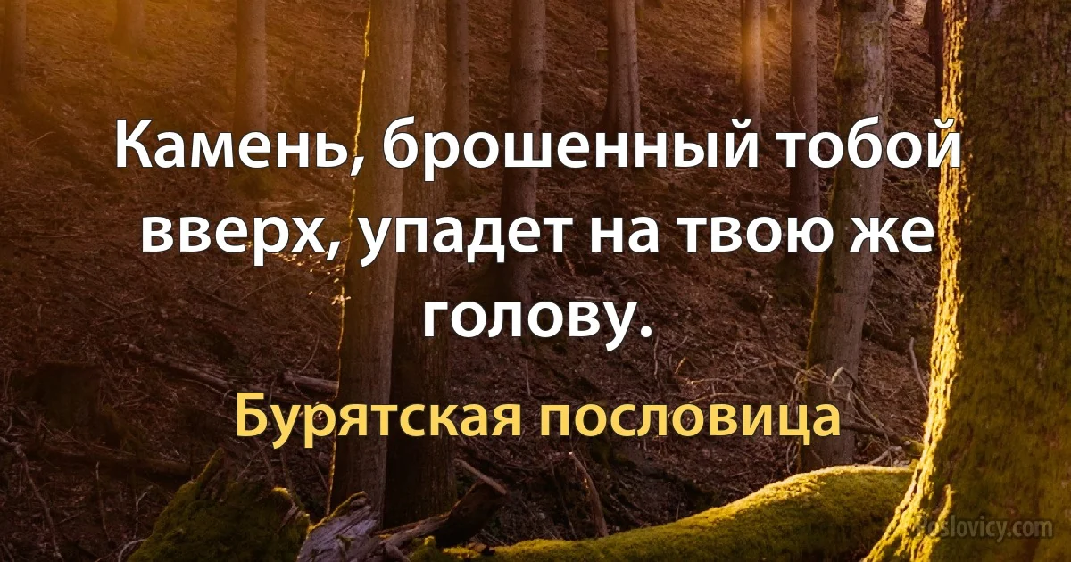 Камень, брошенный тобой вверх, упадет на твою же голову. (Бурятская пословица)