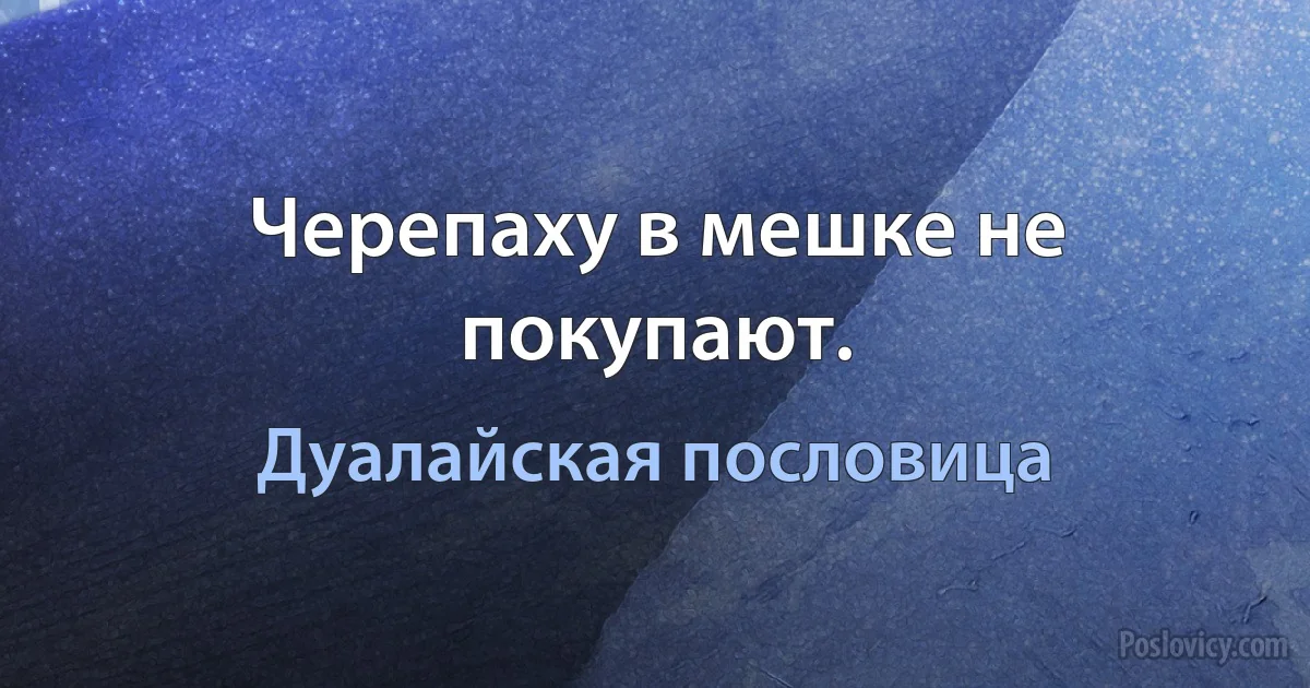 Черепаху в мешке не покупают. (Дуалайская пословица)