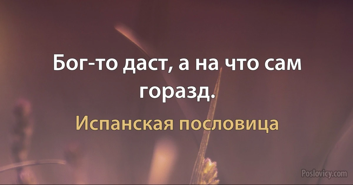 Бог-то даст, а на что сам горазд. (Испанская пословица)