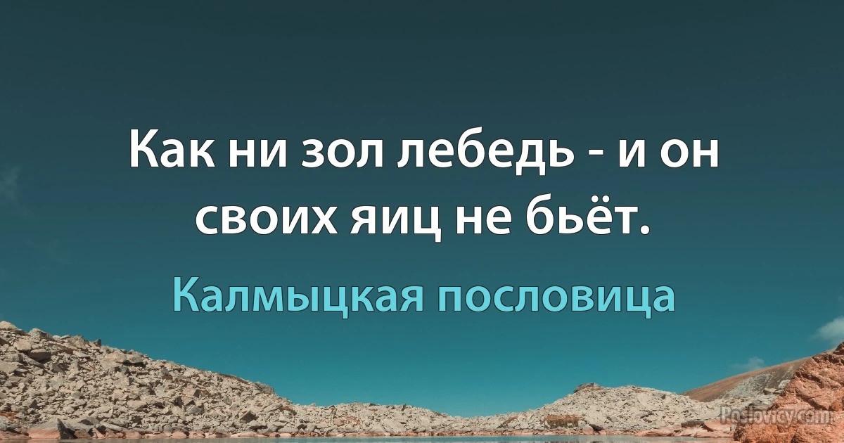 Как ни зол лебедь - и он своих яиц не бьёт. (Калмыцкая пословица)