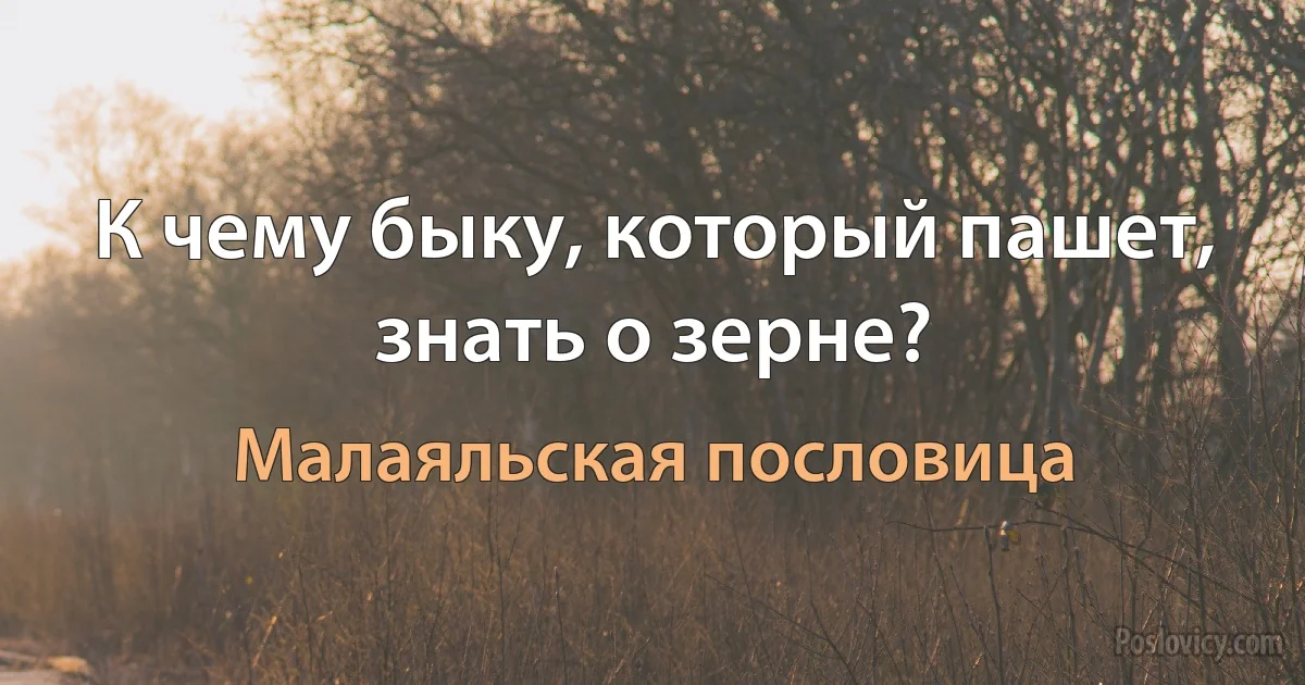 К чему быку, который пашет, знать о зерне? (Малаяльская пословица)