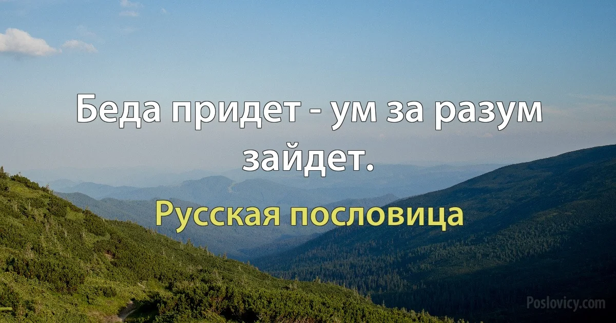 Беда придет - ум за разум зайдет. (Русская пословица)