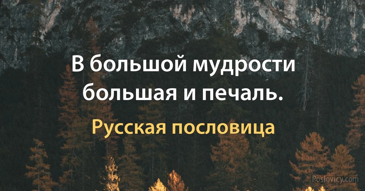 В большой мудрости большая и печаль. (Русская пословица)