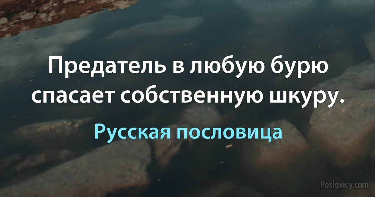 Предатель в любую бурю спасает собственную шкуру. (Русская пословица)