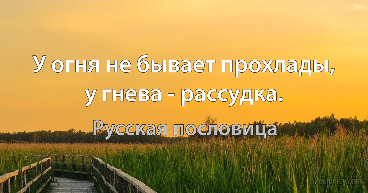 У огня не бывает прохлады, у гнева - рассудка. (Русская пословица)