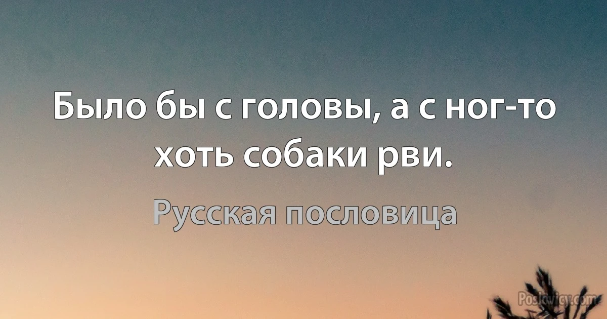 Было бы с головы, а с ног-то хоть собаки рви. (Русская пословица)