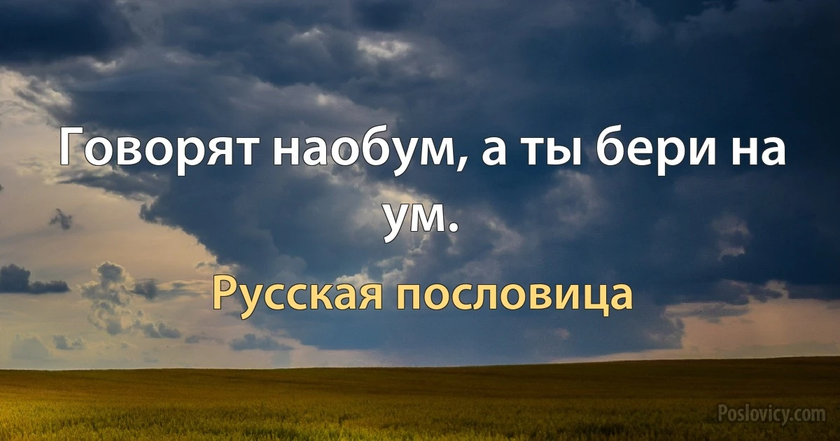 Говорят наобум, а ты бери на ум. (Русская пословица)