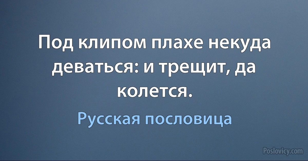 Под клипом плахе некуда деваться: и трещит, да колется. (Русская пословица)