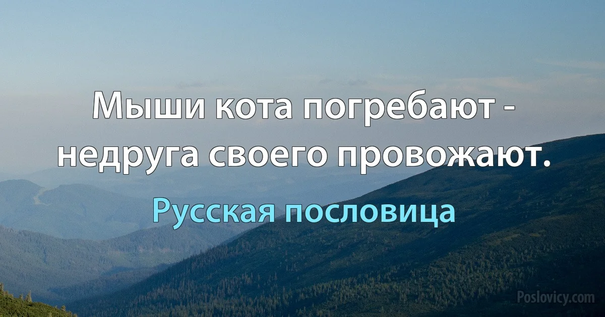 Мыши кота погребают - недруга своего провожают. (Русская пословица)