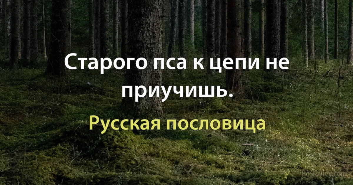 Старого пса к цепи не приучишь. (Русская пословица)