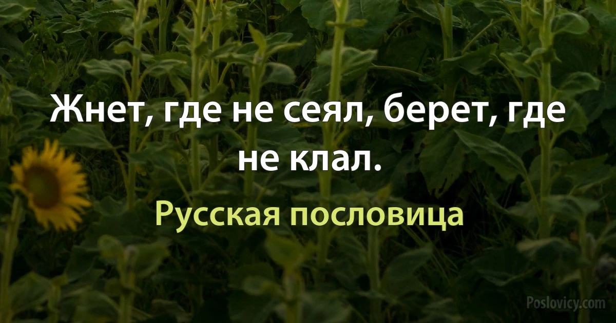 Жнет, где не сеял, берет, где не клал. (Русская пословица)