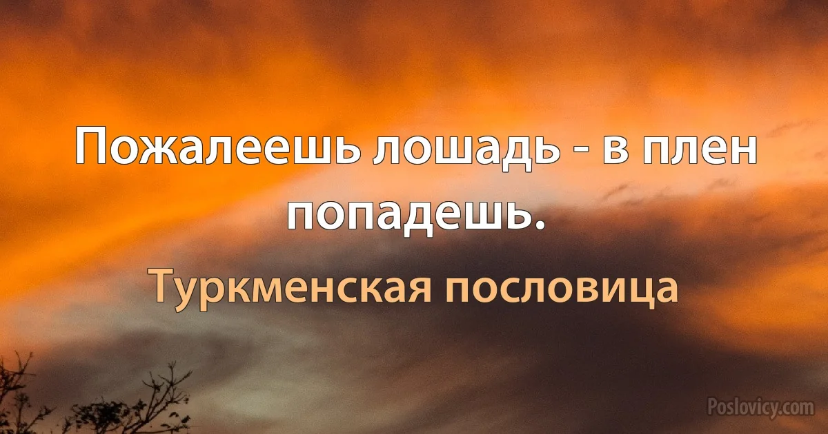 Пожалеешь лошадь - в плен попадешь. (Туркменская пословица)