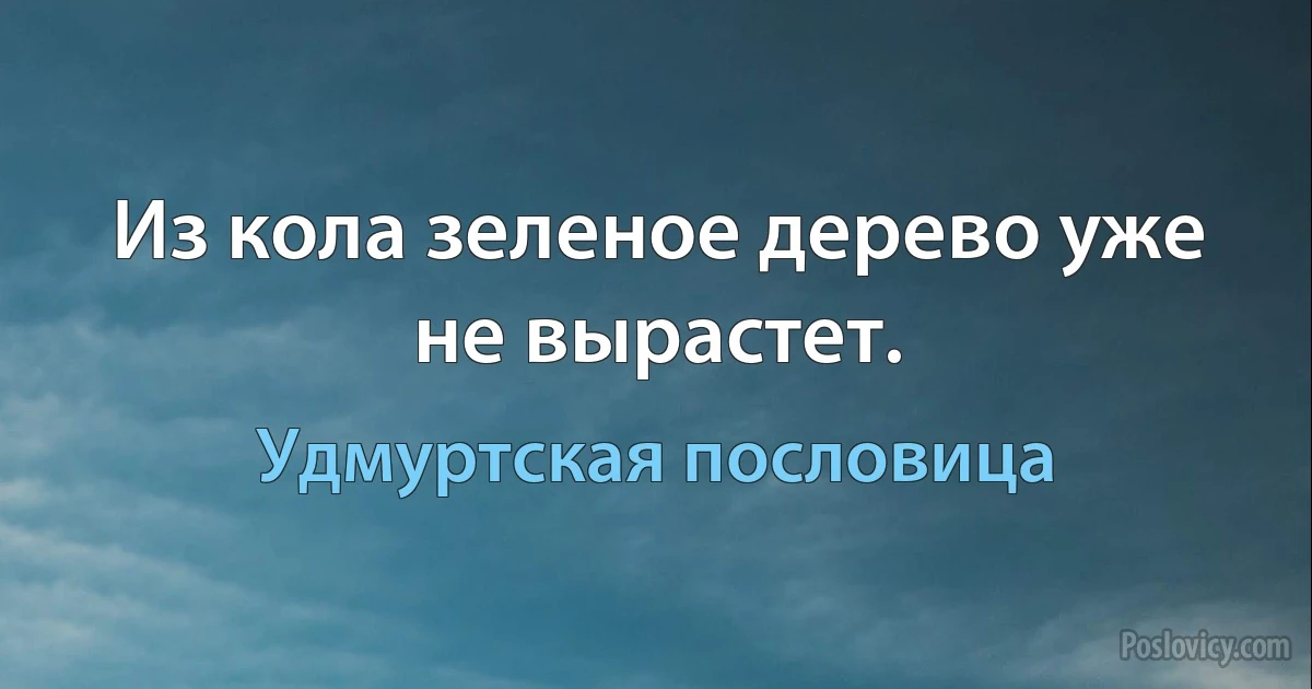 Из кола зеленое дерево уже не вырастет. (Удмуртская пословица)