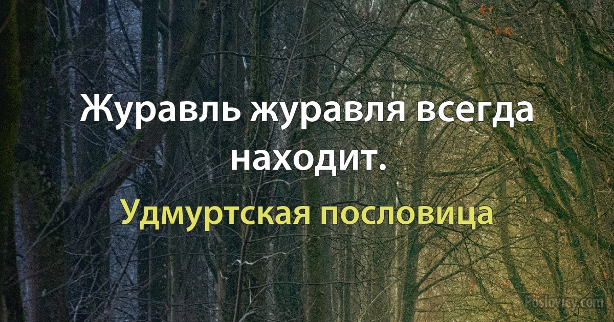 Журавль журавля всегда находит. (Удмуртская пословица)