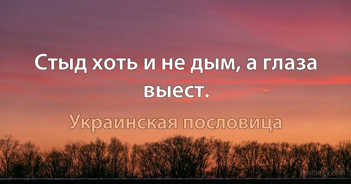 Стыд хоть и не дым, а глаза выест. (Украинская пословица)