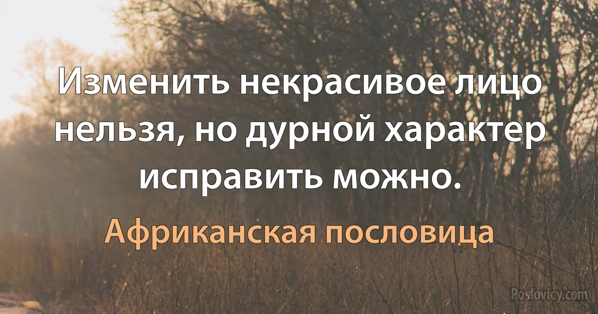 Изменить некрасивое лицо нельзя, но дурной характер исправить можно. (Африканская пословица)