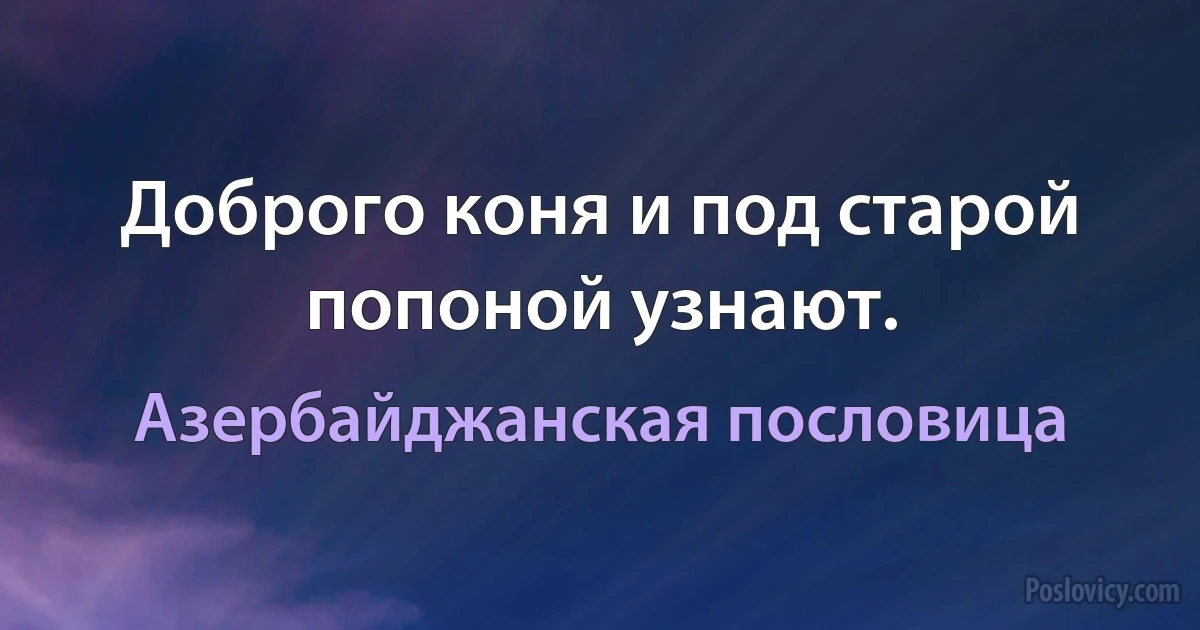 Доброго коня и под старой попоной узнают. (Азербайджанская пословица)