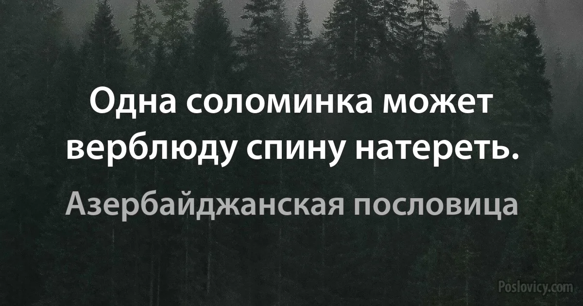 Одна соломинка может верблюду спину натереть. (Азербайджанская пословица)