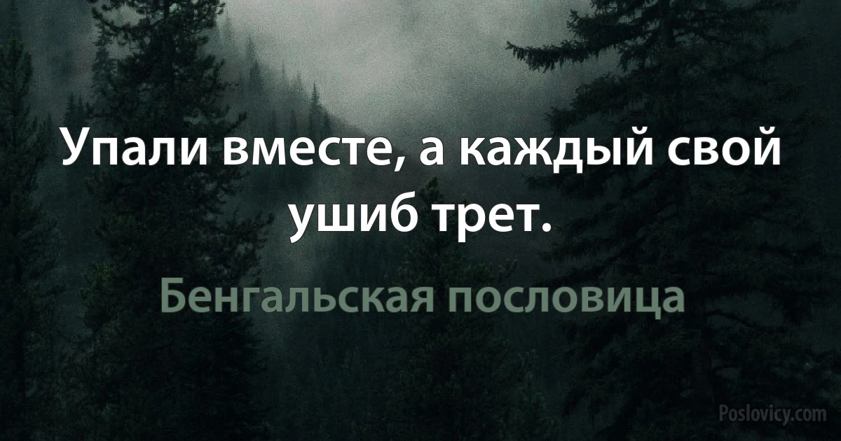 Упали вместе, а каждый свой ушиб трет. (Бенгальская пословица)