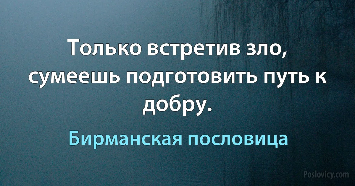 Только встретив зло, сумеешь подготовить путь к добру. (Бирманская пословица)