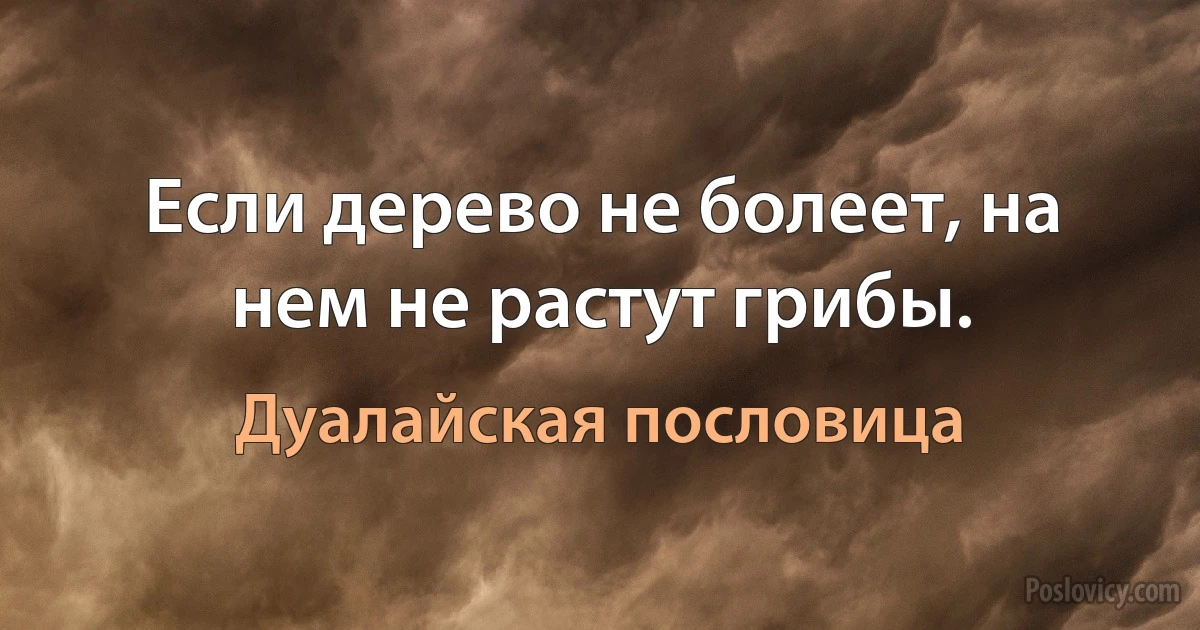 Если дерево не болеет, на нем не растут грибы. (Дуалайская пословица)