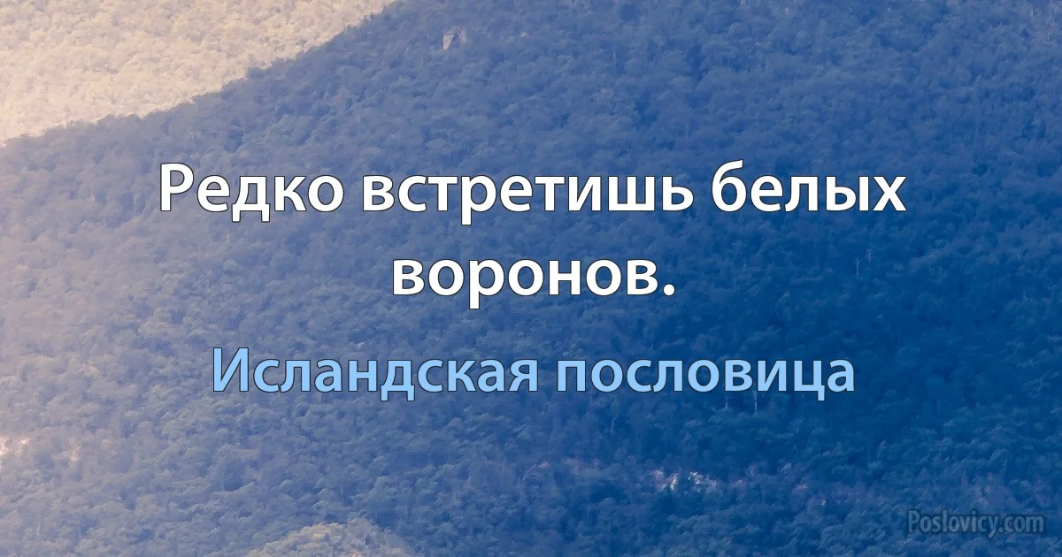 Редко встретишь белых воронов. (Исландская пословица)