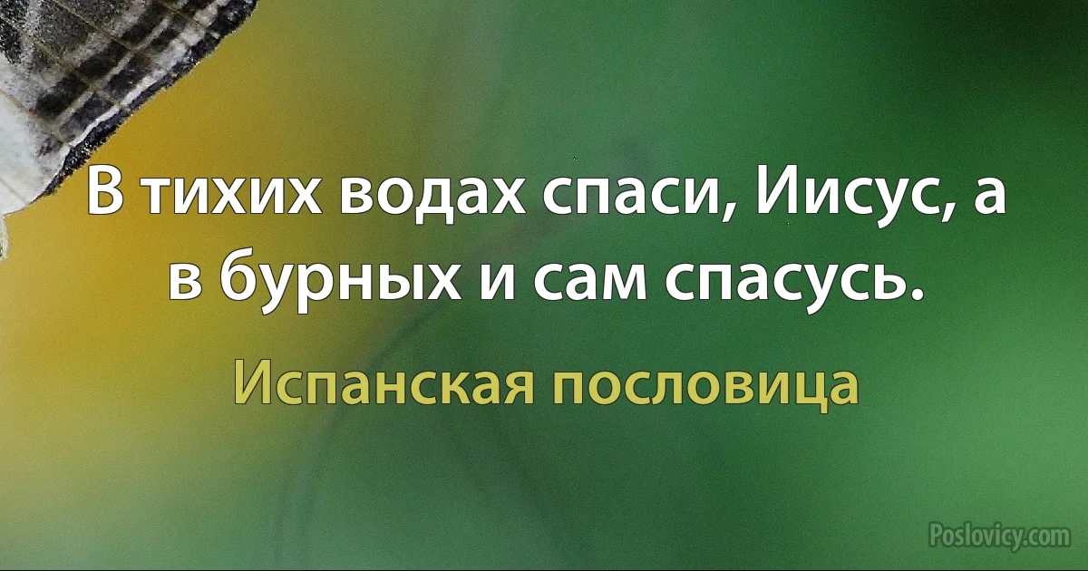 В тихих водах спаси, Иисус, а в бурных и сам спасусь. (Испанская пословица)