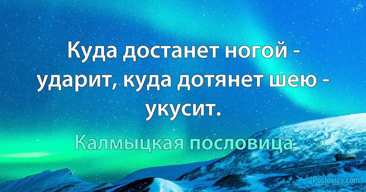 Куда достанет ногой - ударит, куда дотянет шею - укусит. (Калмыцкая пословица)