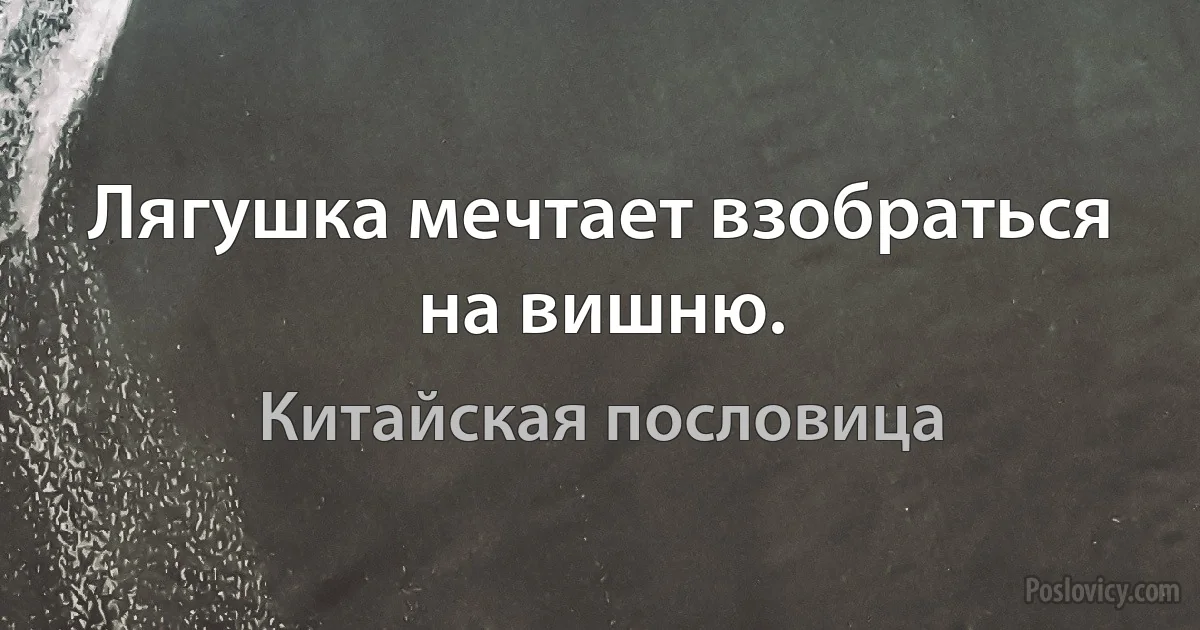 Лягушка мечтает взобраться на вишню. (Китайская пословица)