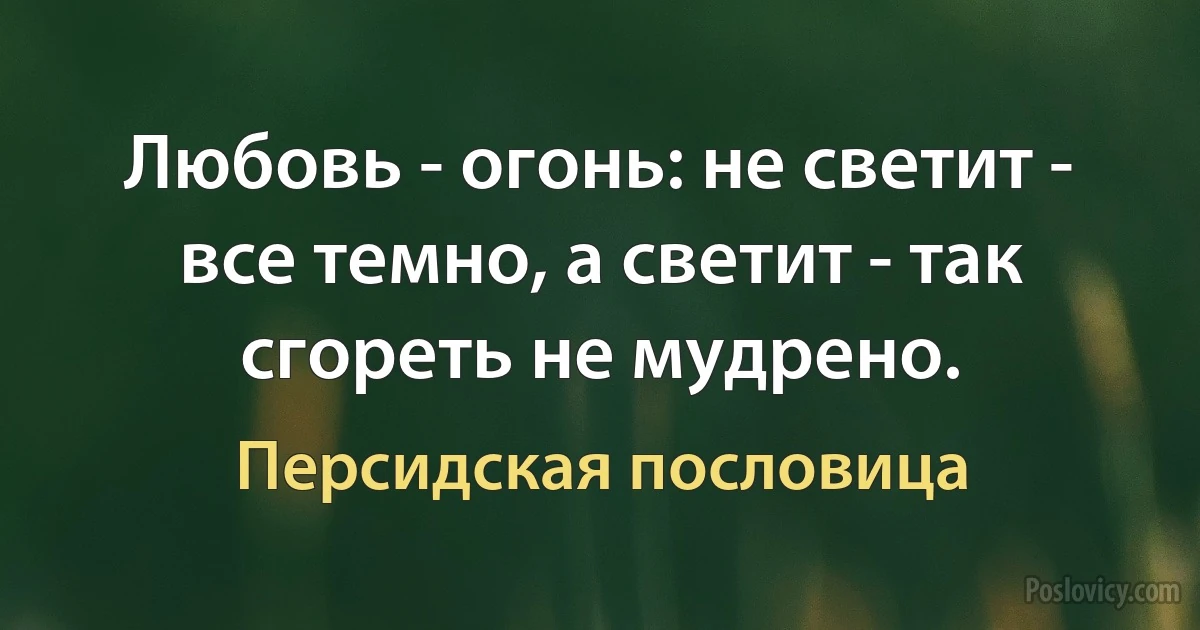 Любовь - огонь: не светит - все темно, а светит - так сгореть не мудрено. (Персидская пословица)