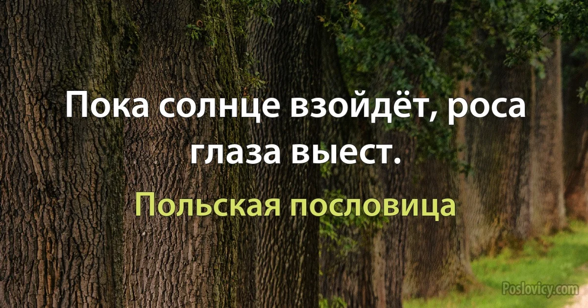 Пока солнце взойдёт, роса глаза выест. (Польская пословица)