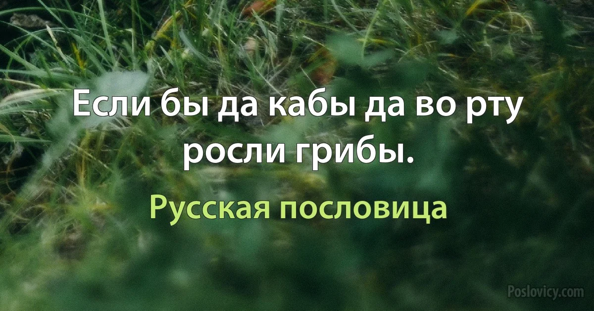 Если бы да кабы да во рту росли грибы. (Русская пословица)