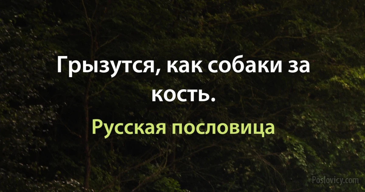 Грызутся, как собаки за кость. (Русская пословица)