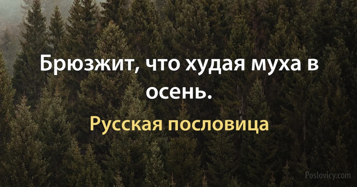 Брюзжит, что худая муха в осень. (Русская пословица)