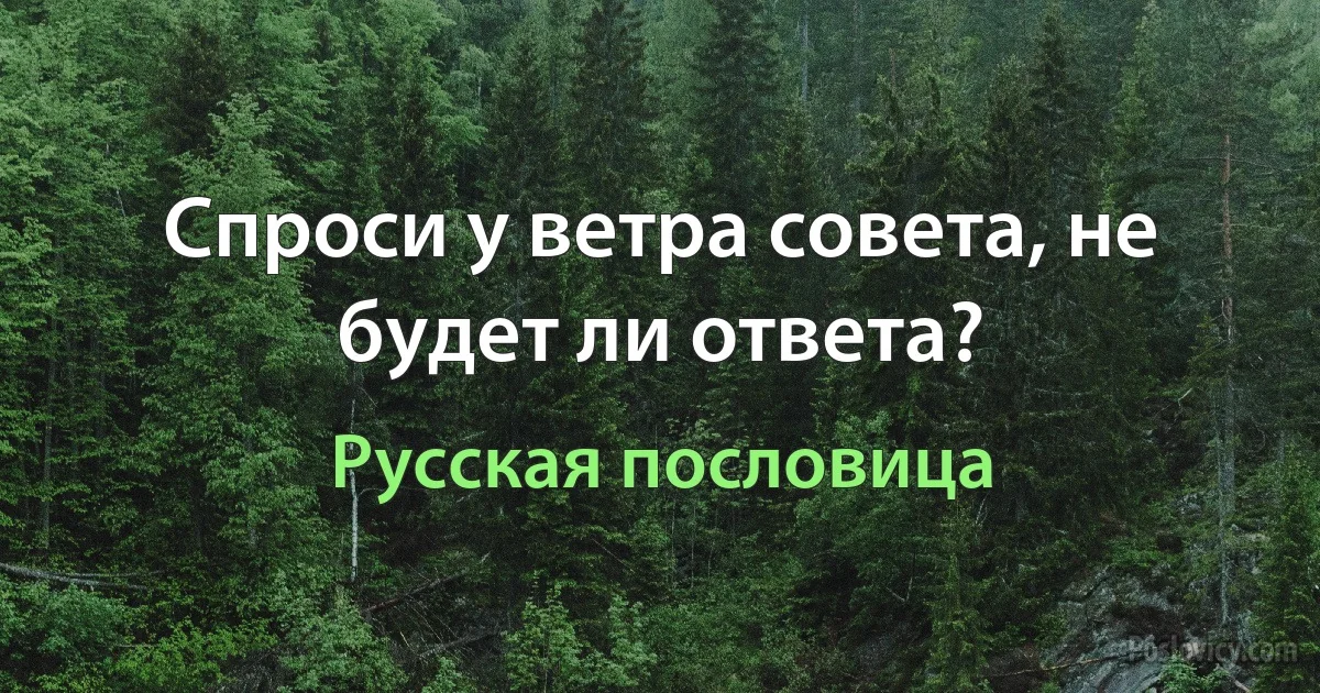 Спроси у ветра совета, не будет ли ответа? (Русская пословица)